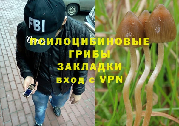 амф Алексеевка