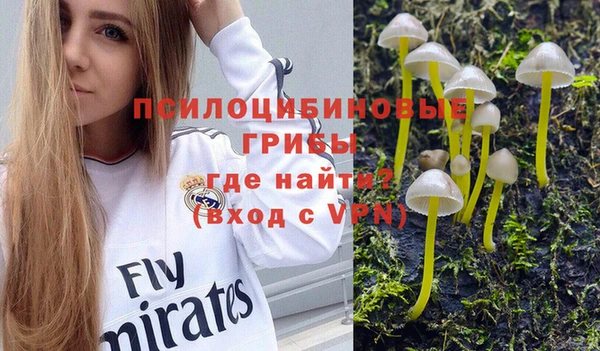 мдпв Алзамай