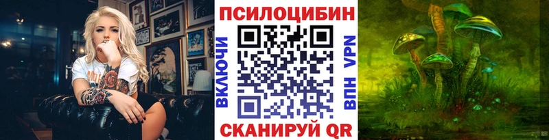 купить наркотик  Егорьевск  Галлюциногенные грибы GOLDEN TEACHER 